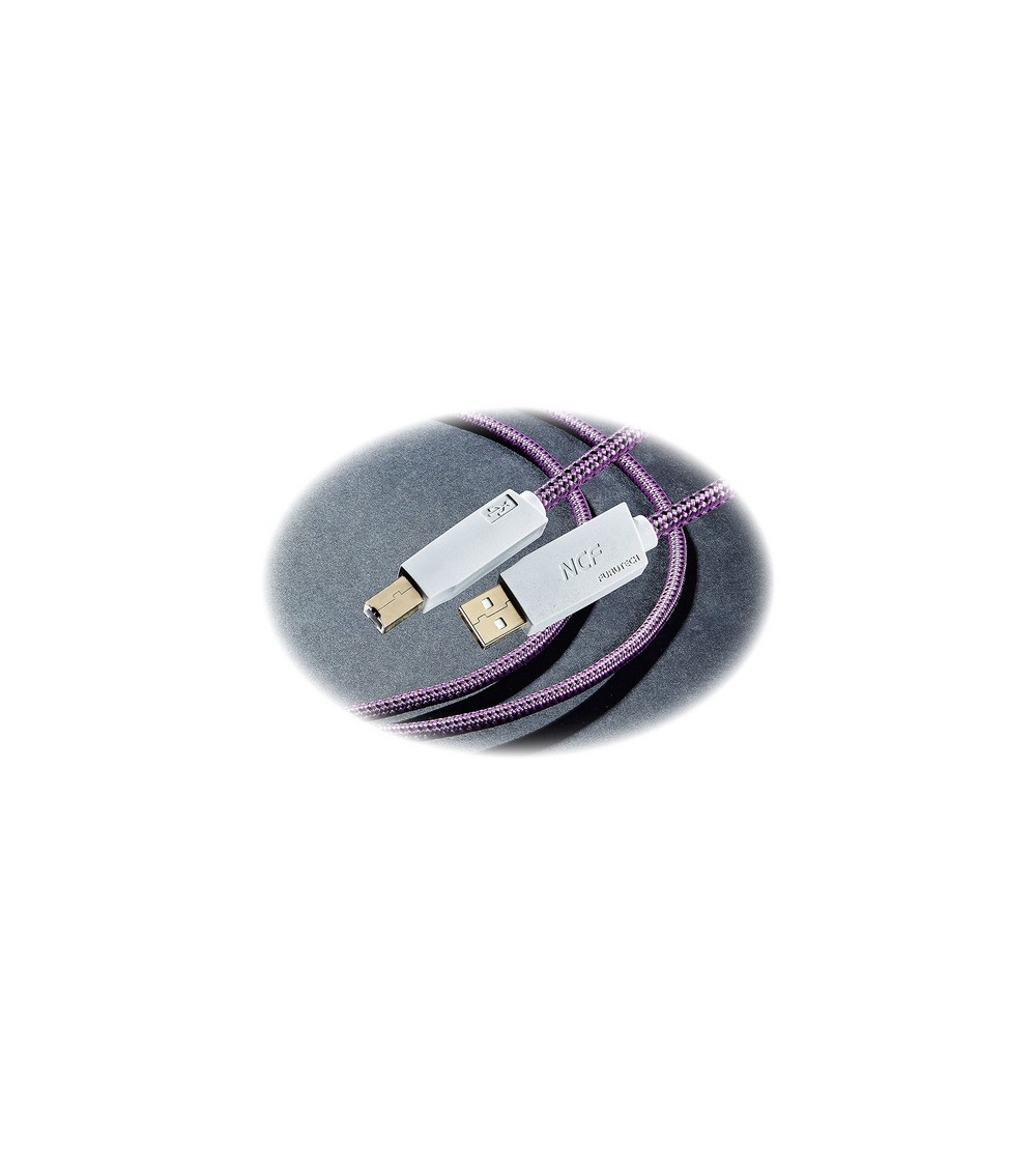 FURUTECH GT2 NCF USB-B