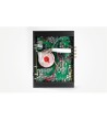REGA ELICIT MK5