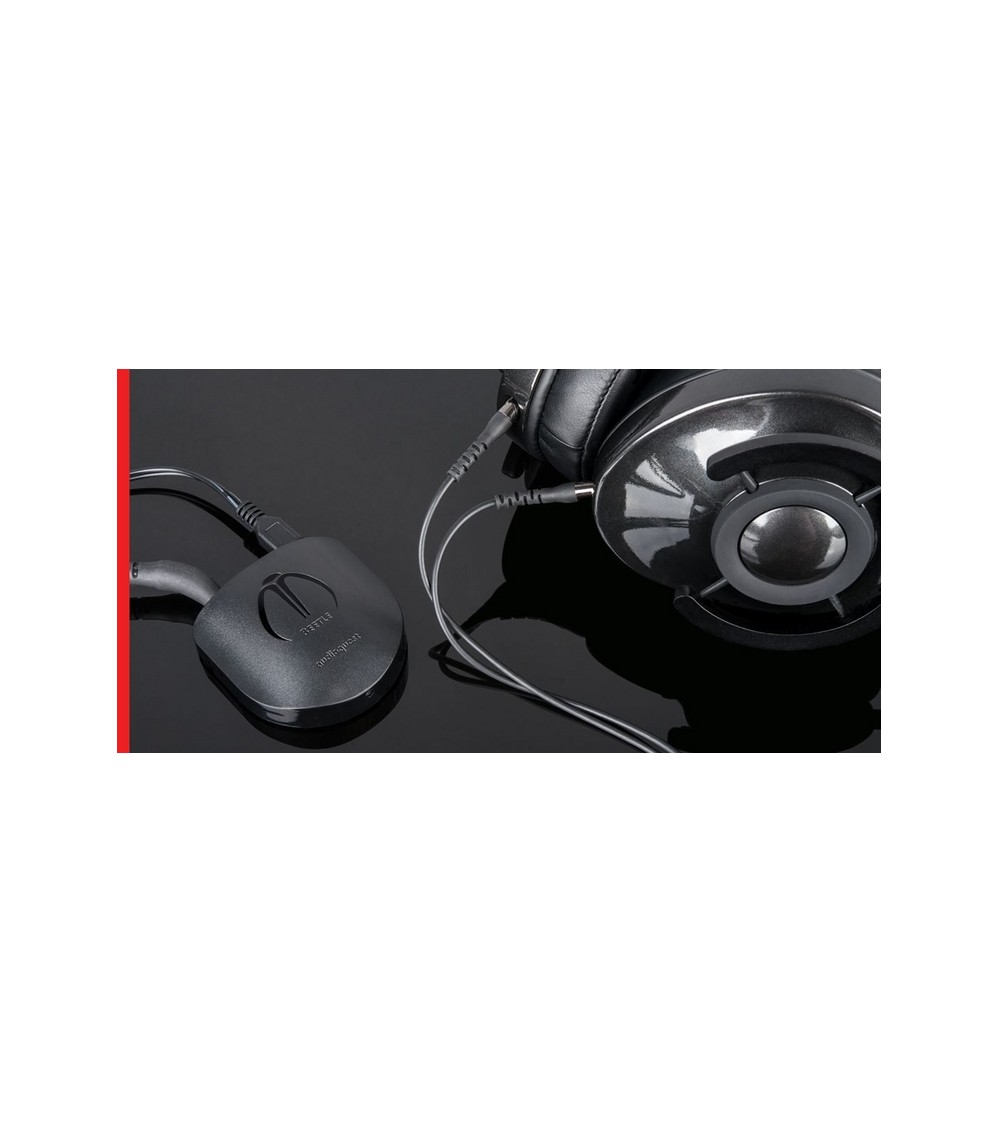 AUDIOQUEST BEETLE
